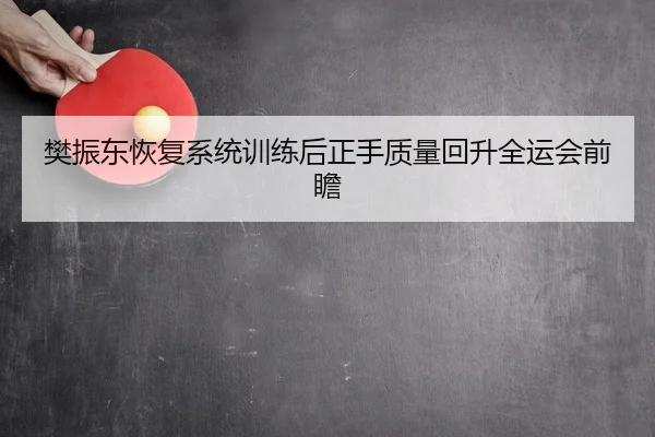 樊振东恢复系统训练后正手质量回升全运会前瞻